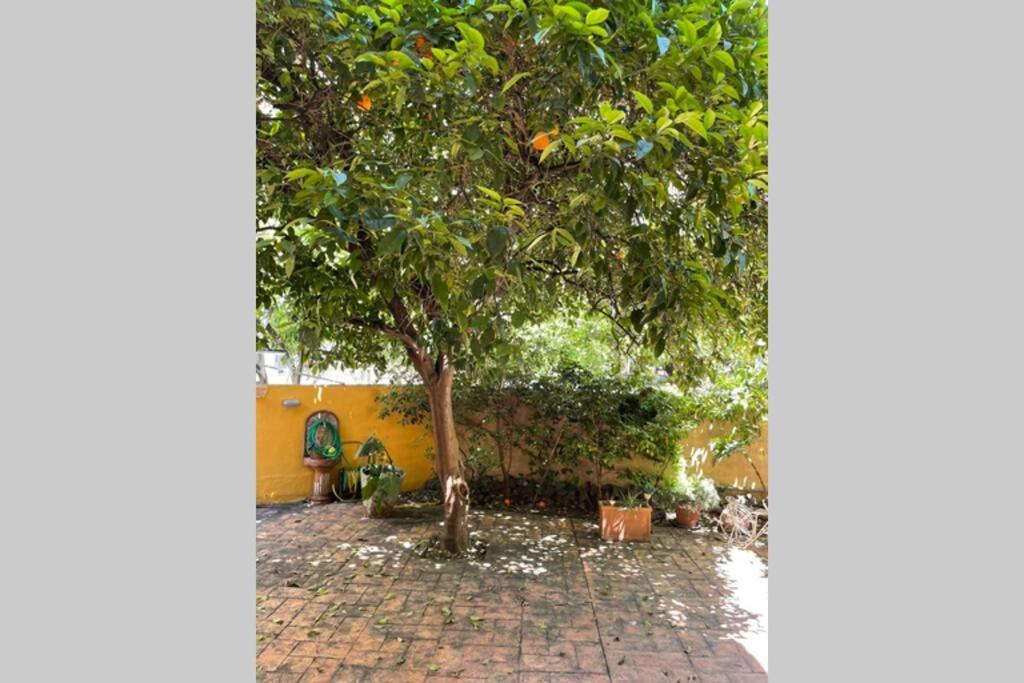 Studio Stay White Room Kalamata Bagian luar foto